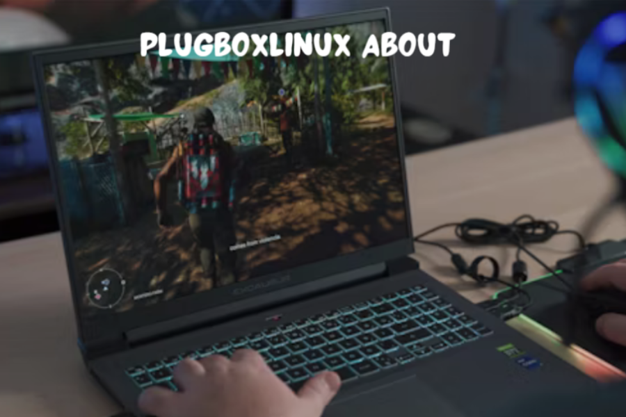 plugboxlinux about